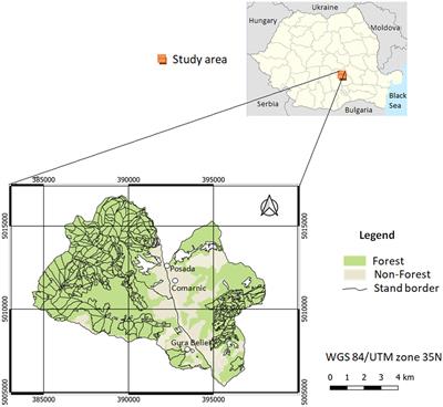 Local-scale mapping of tree species in a lower mountain area using Sentinel-1 and -2 multitemporal images, vegetation indices, and topographic information